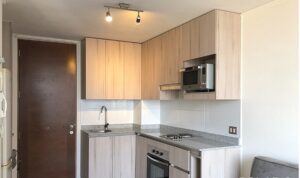 Departamento en venta en SANTIAGO - METRO RONDIZZONI/SARGENTO ALDEA (Ref. 1270)