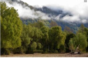 Parcela en venta en LONGAVÍ - RESERVA NEVADO DE LONGAVÍ  / LA BALSA (Ref. 1597)