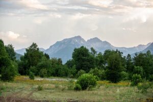 Parcela en venta en LONGAVÍ - PARA QUIENES BUSCAN NATURALEZA, PLUSVALÍA Y EXCLUSIVIDAD (Ref. 1683)